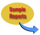 Car Chip Pro sample reports text and arrow